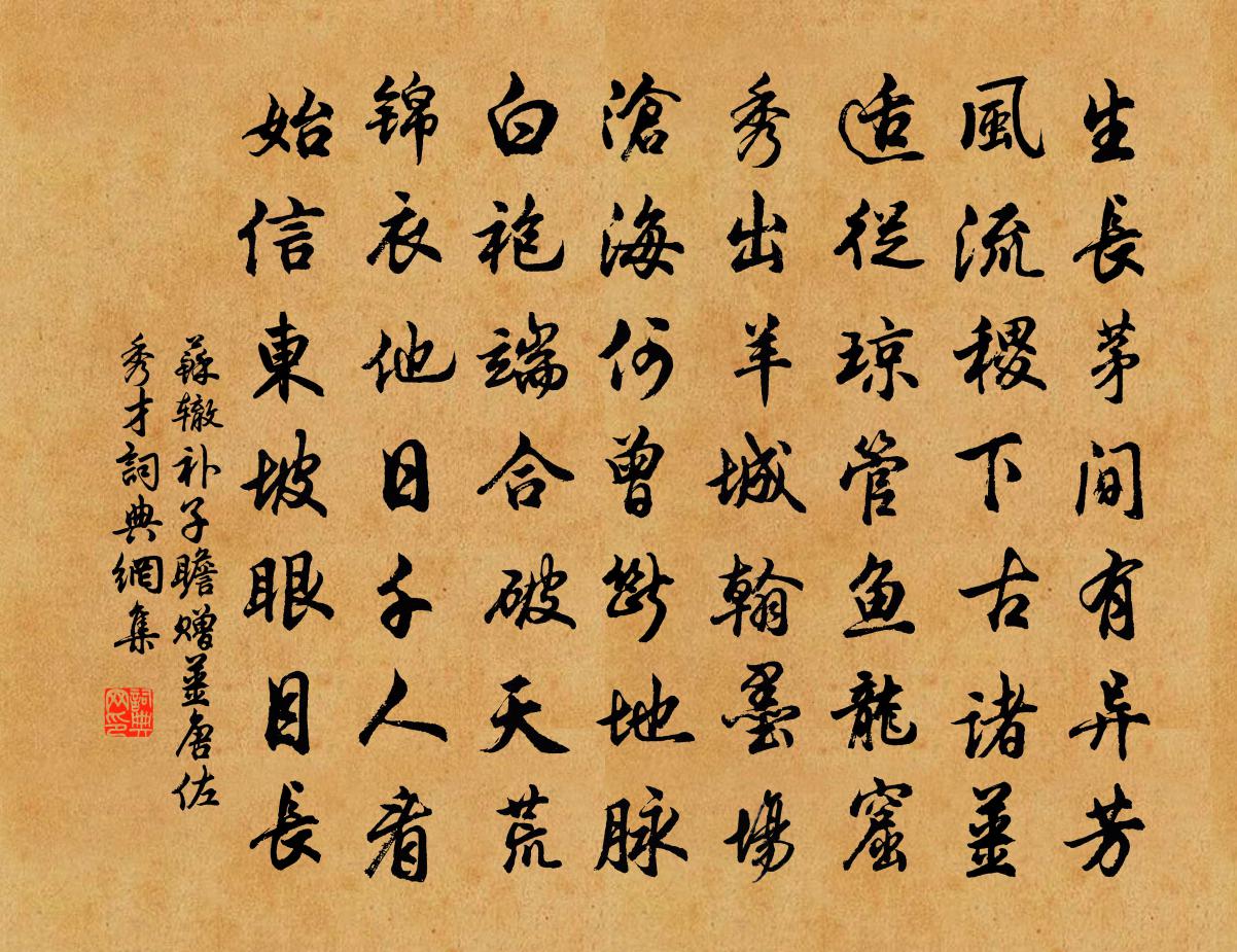 苏辙补子瞻赠姜唐佐秀才书法作品欣赏
