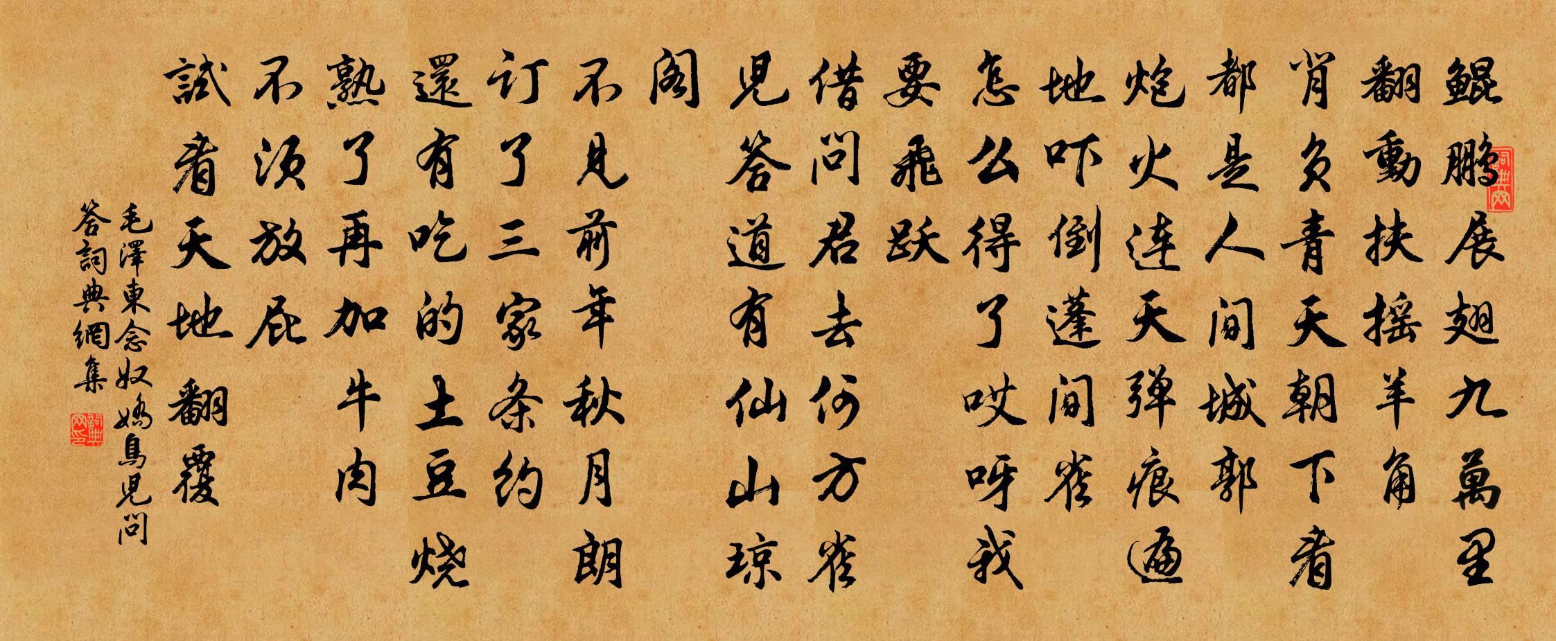 念奴娇鸟儿问答书法作品欣赏