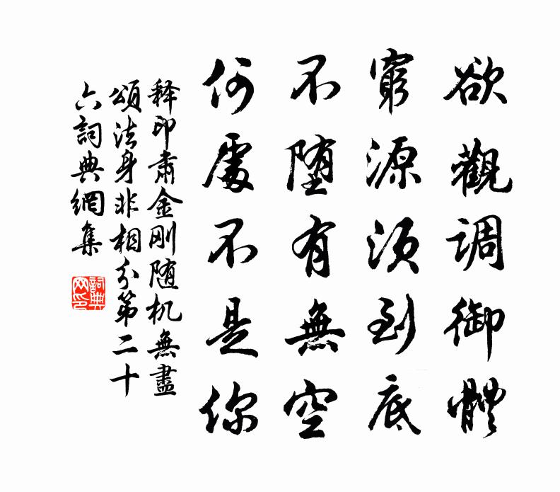 释印肃金刚随机无尽颂法身非相分第二十六书法作品欣赏