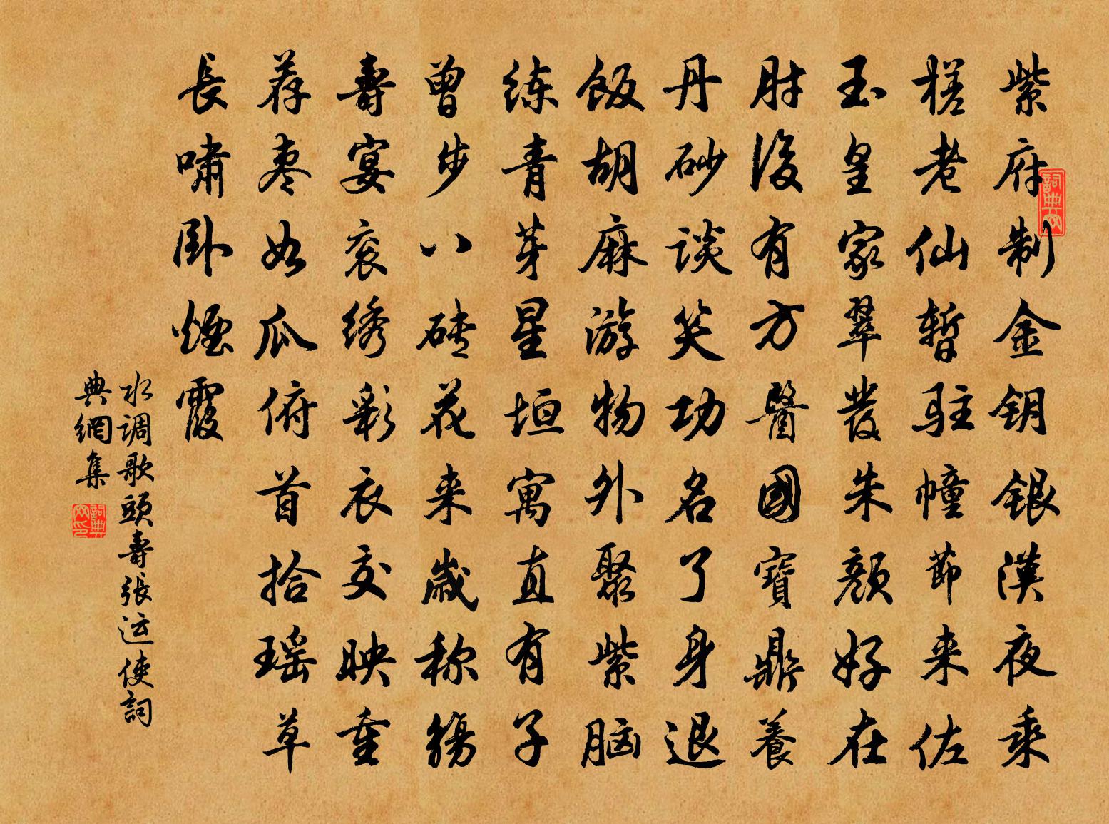 佚名水调歌头（寿张运使）书法作品欣赏
