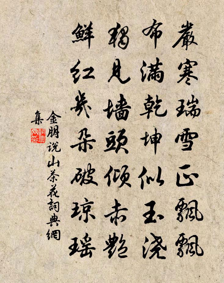 金朋说山茶花书法作品欣赏
