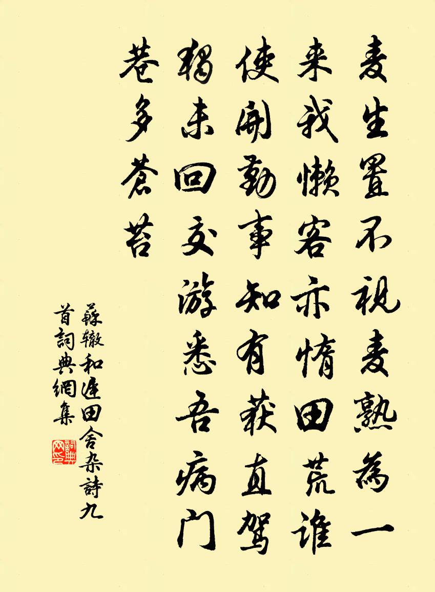 苏辙和迟田舍杂诗九首书法作品欣赏