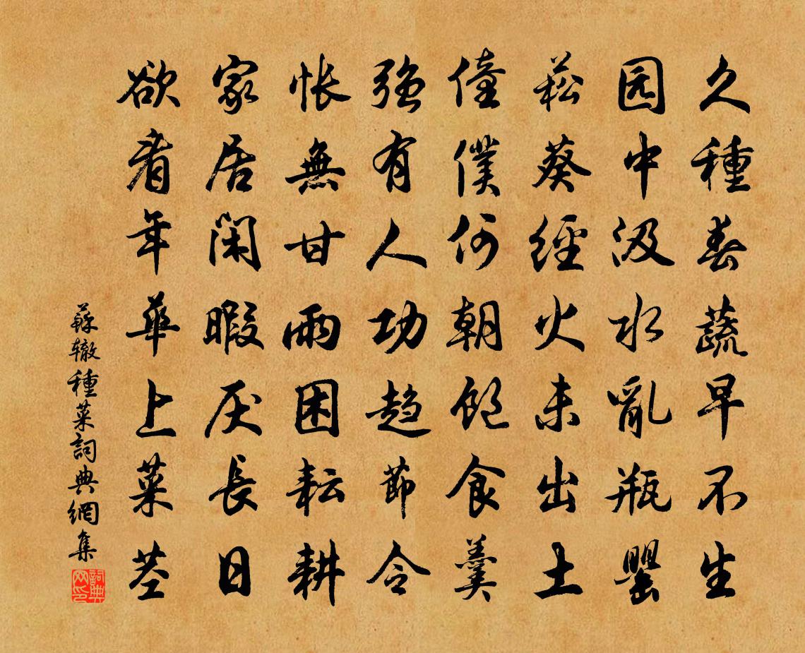 苏辙种菜书法作品欣赏