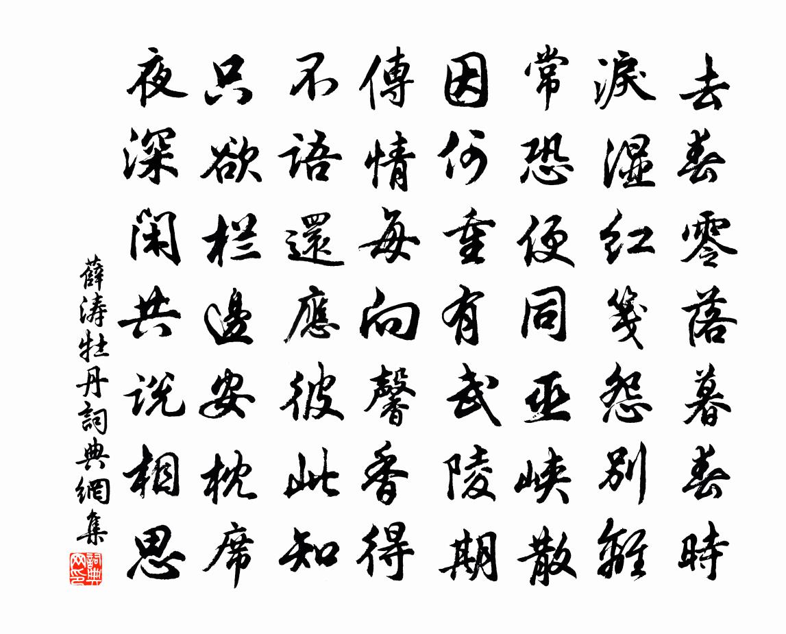 薛涛牡丹书法作品欣赏