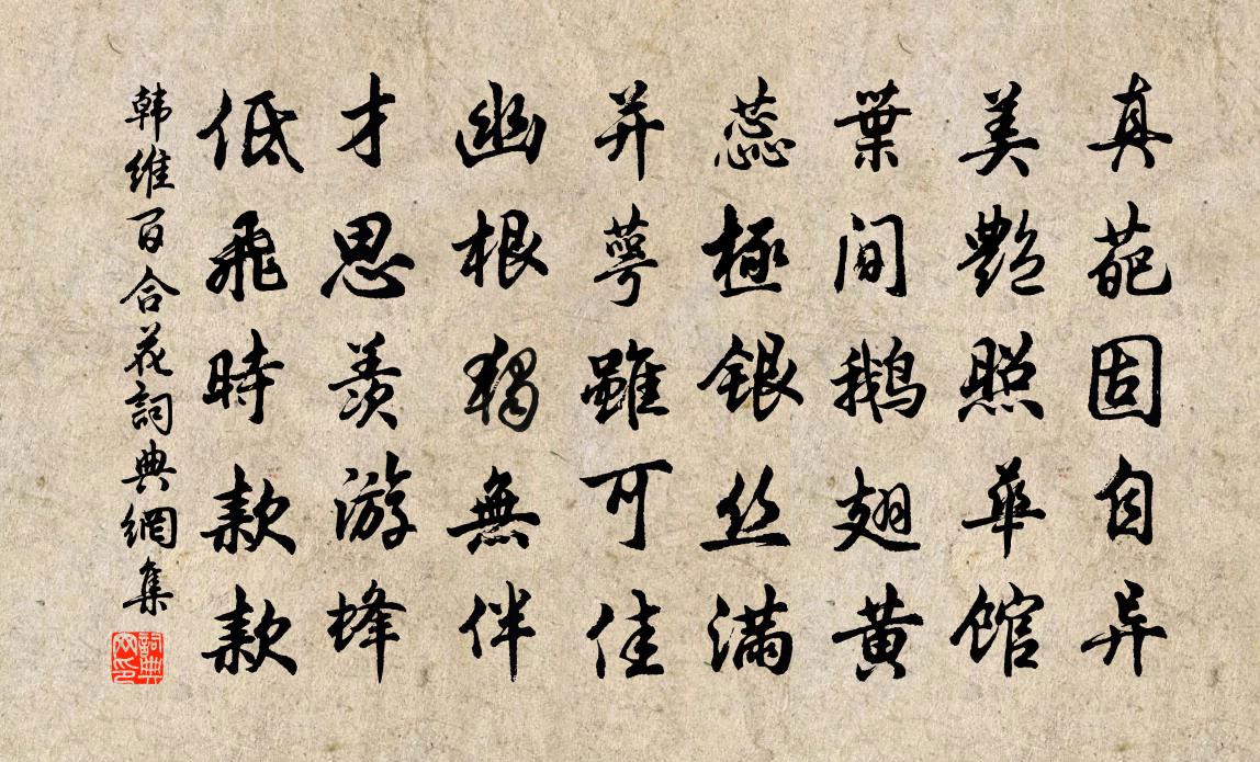 韩维百合花书法作品欣赏