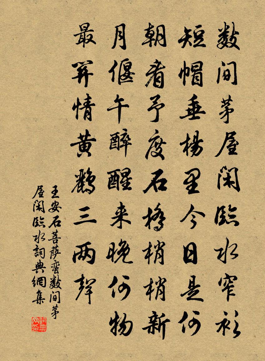 王安石菩萨蛮·数间茅屋闲临水书法作品欣赏