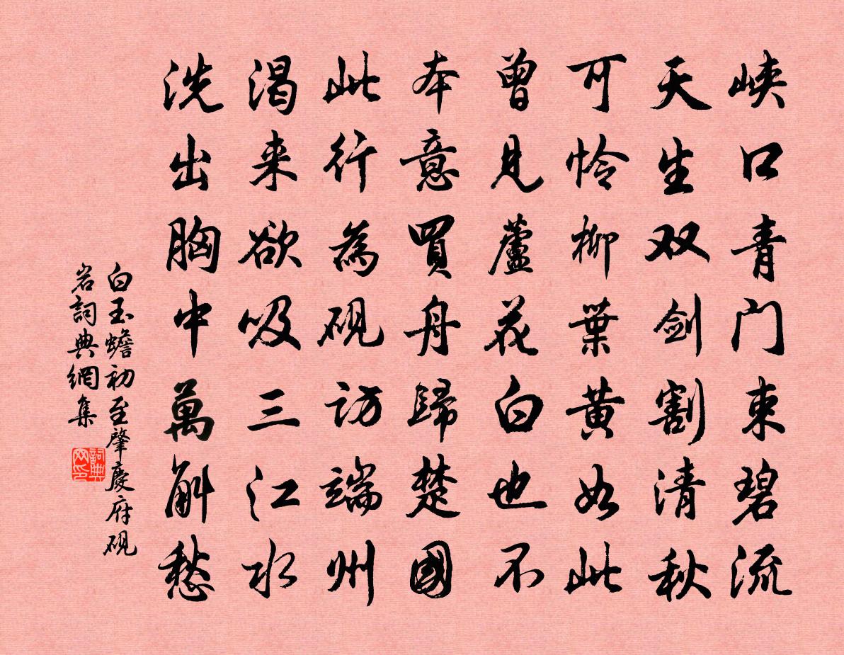 白玉蟾初至肇庆府砚岩书法作品欣赏