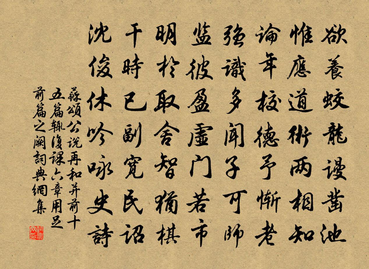 苏颂公说再和并前十五篇辄复课六章用足前篇之阙书法作品欣赏