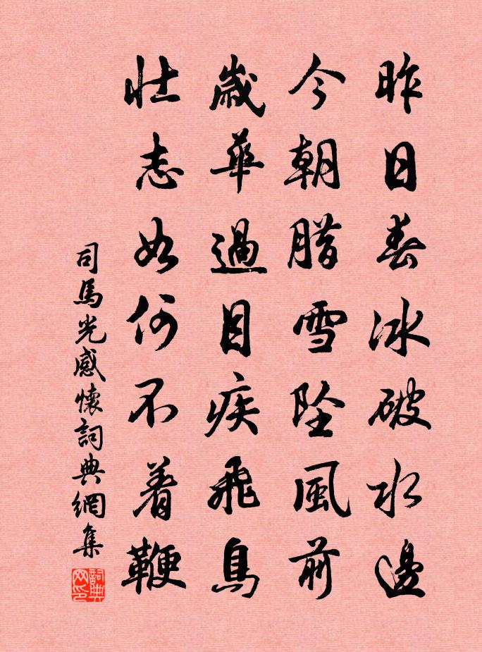 司马光感怀书法作品欣赏