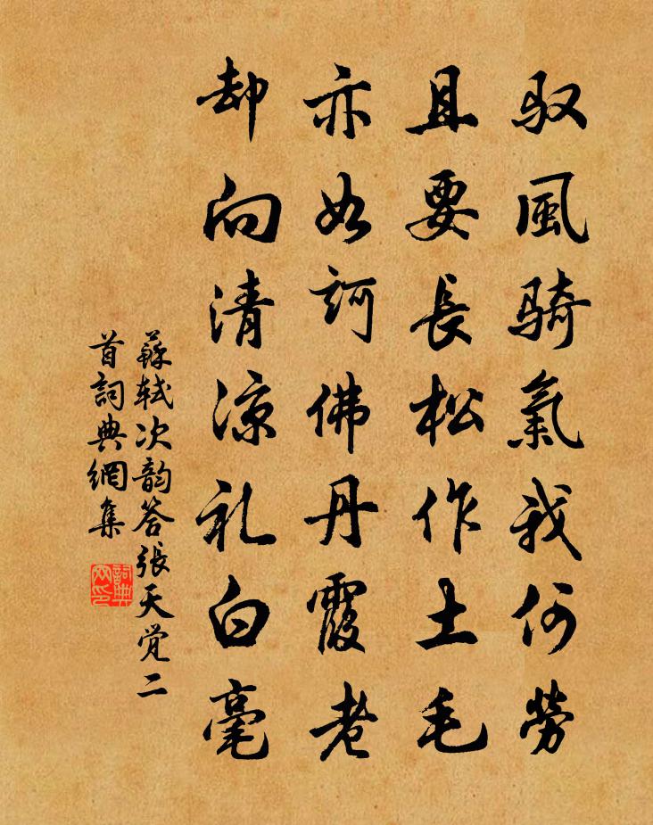 苏轼次韵答张天觉二首书法作品欣赏