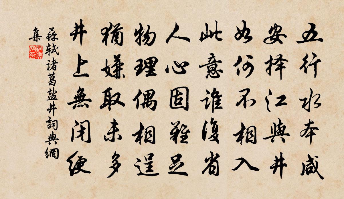 苏轼诸葛盐井书法作品欣赏