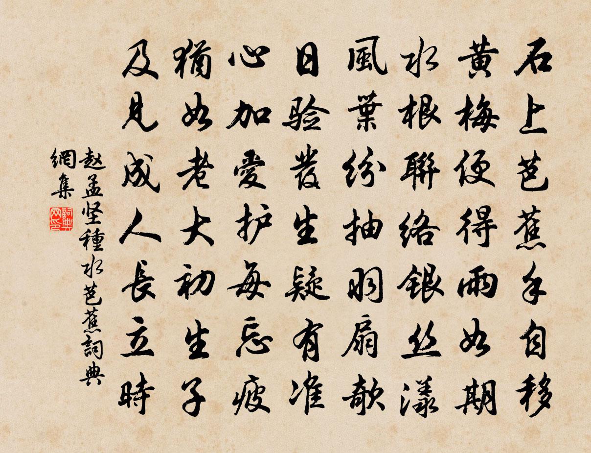 赵孟坚种水芭蕉书法作品欣赏