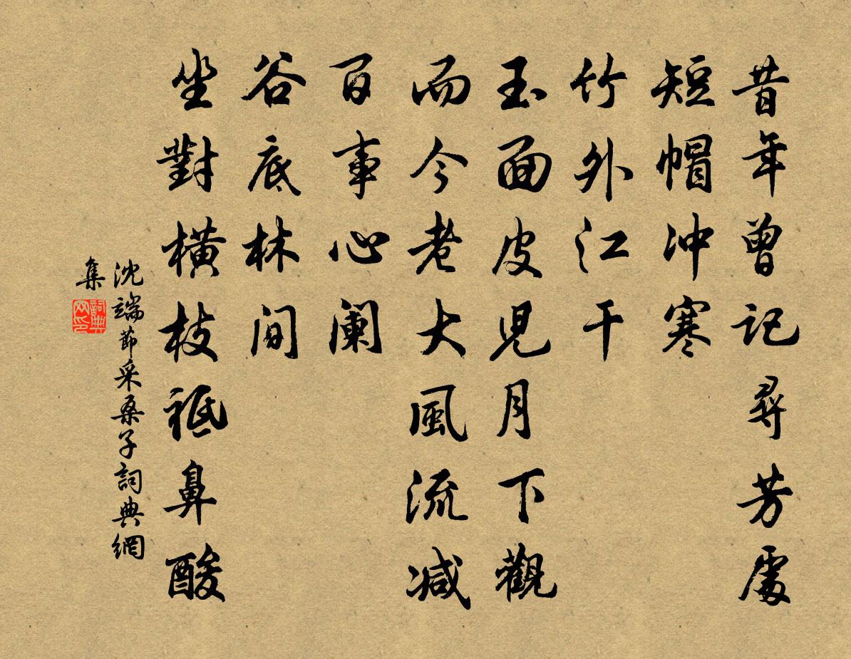 沈端节采桑子书法作品欣赏