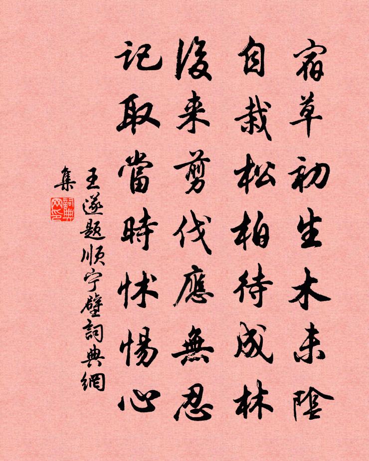王遂题顺宁壁书法作品欣赏