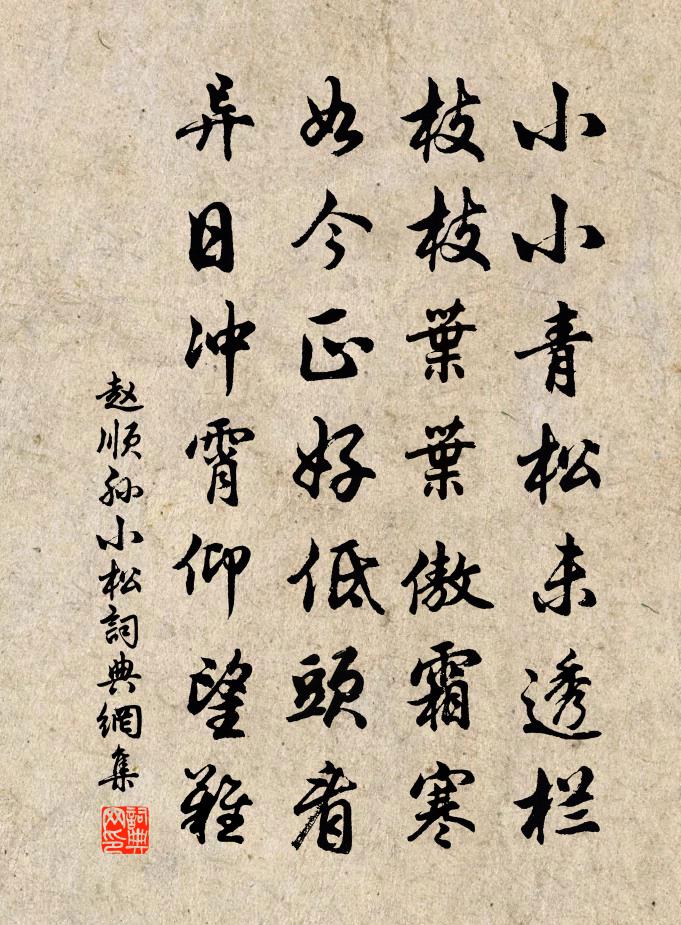 赵顺孙小松书法作品欣赏
