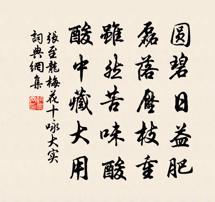 张至龙梅花十咏大实书法作品欣赏