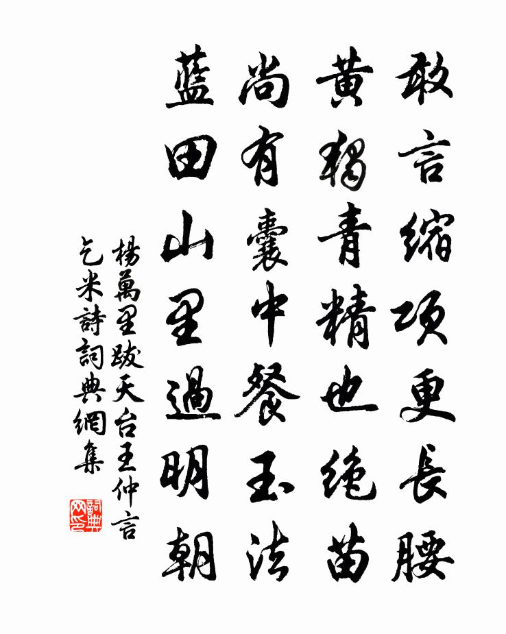 杨万里跋天台王仲言乞米诗书法作品欣赏
