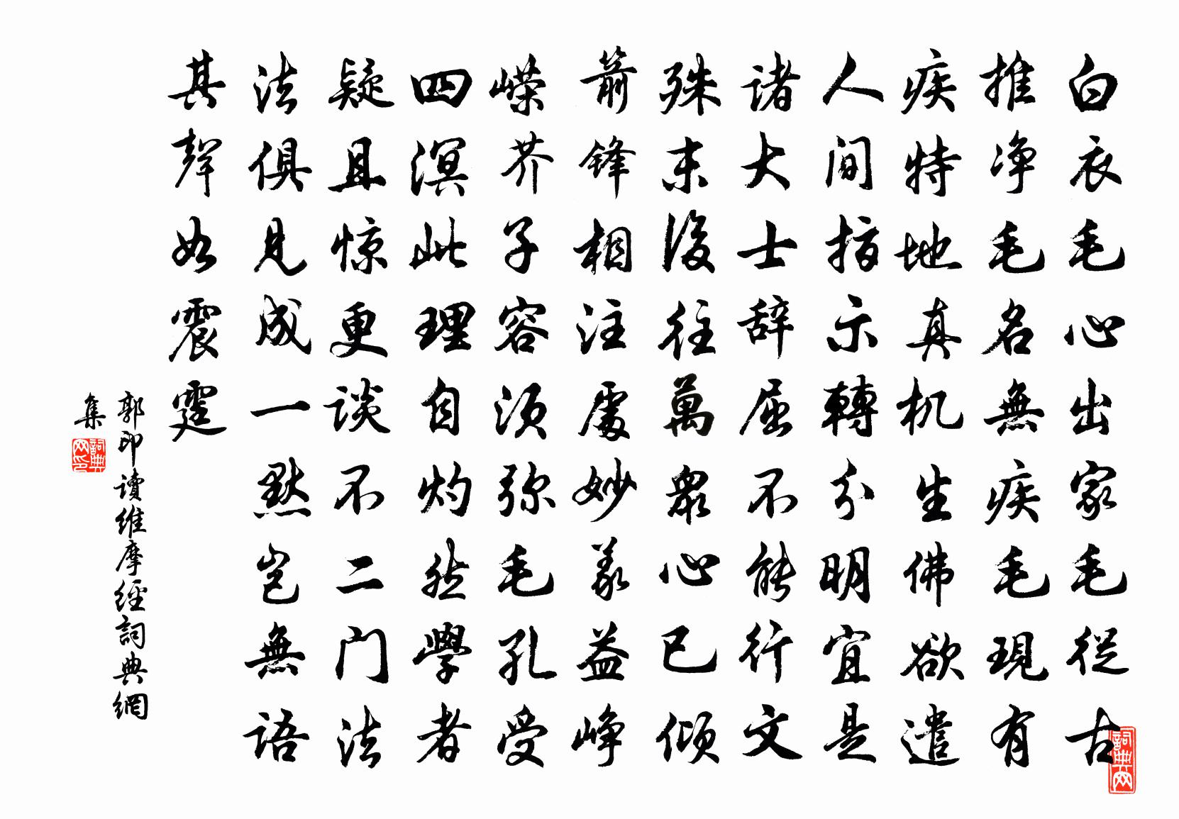 郭印读维摩经书法作品欣赏