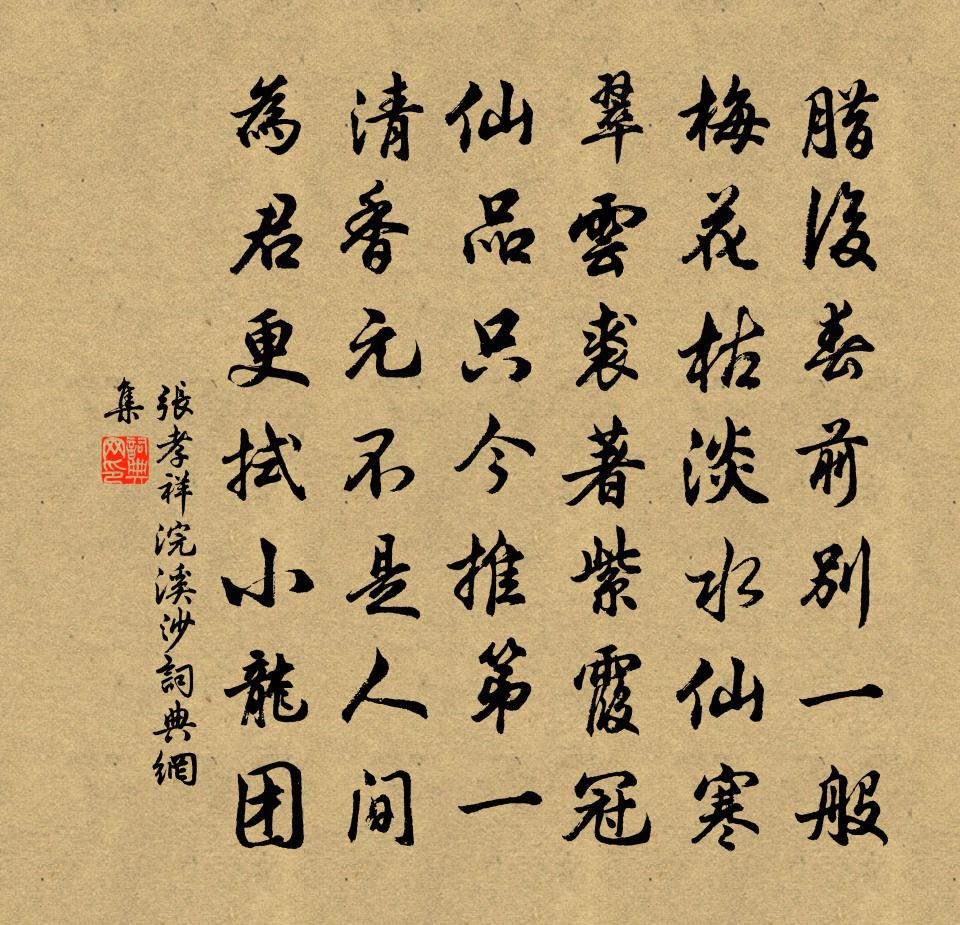 张孝祥浣溪沙书法作品欣赏