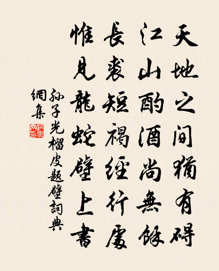 孙子光榴皮题壁书法作品欣赏