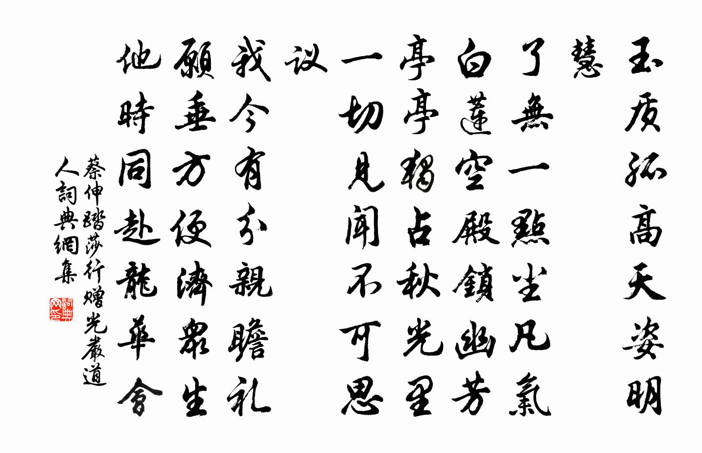 蔡伸踏莎行（赠光严道人）书法作品欣赏