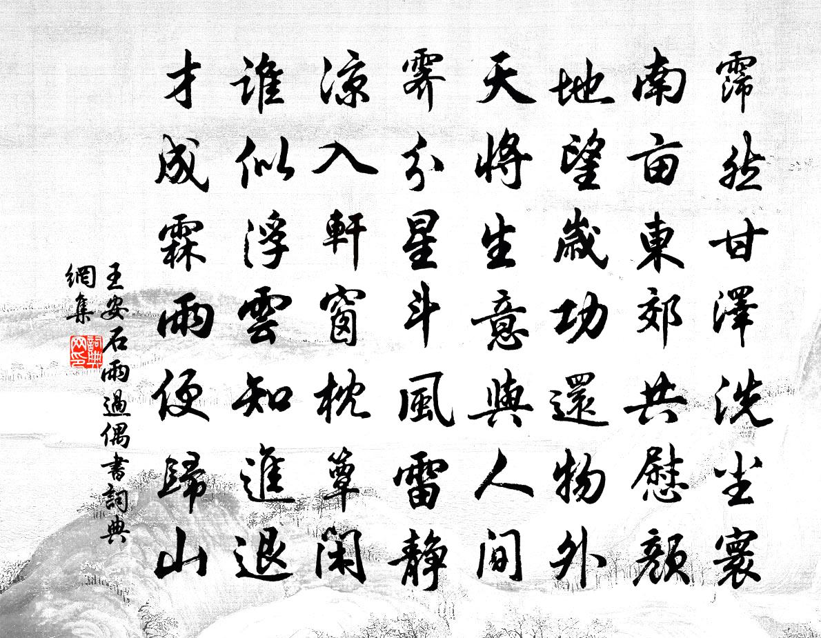 王安石雨过偶书书法作品欣赏