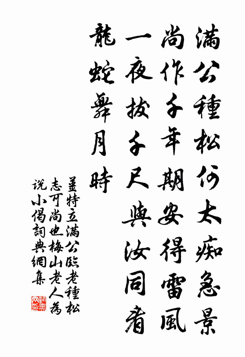 姜特立满公临老种松志可尚也梅山老人为说小偈书法作品欣赏