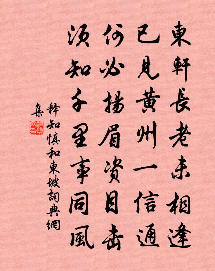 释知慎和东坡书法作品欣赏