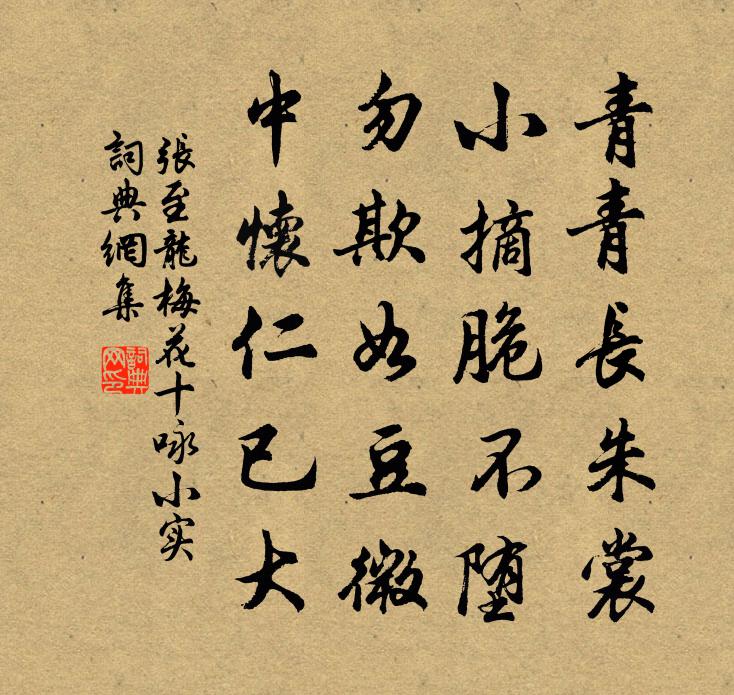 张至龙梅花十咏小实书法作品欣赏