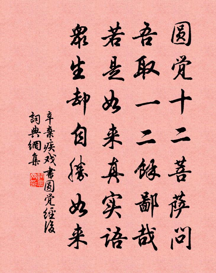 辛弃疾戏书圆觉经后书法作品欣赏
