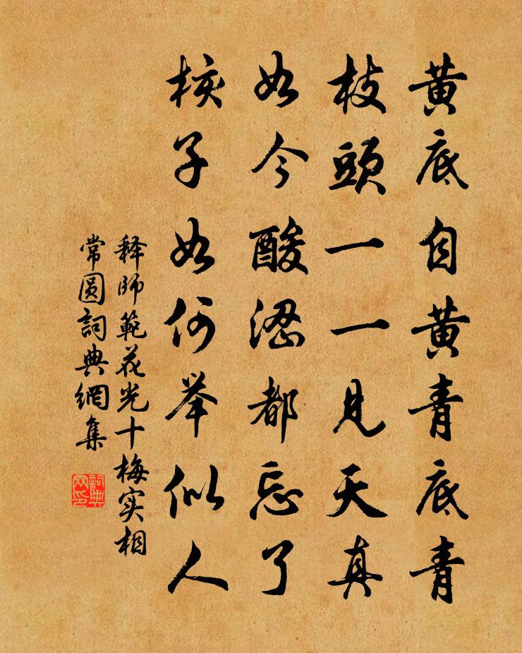 释师范花光十梅实相常圆书法作品欣赏