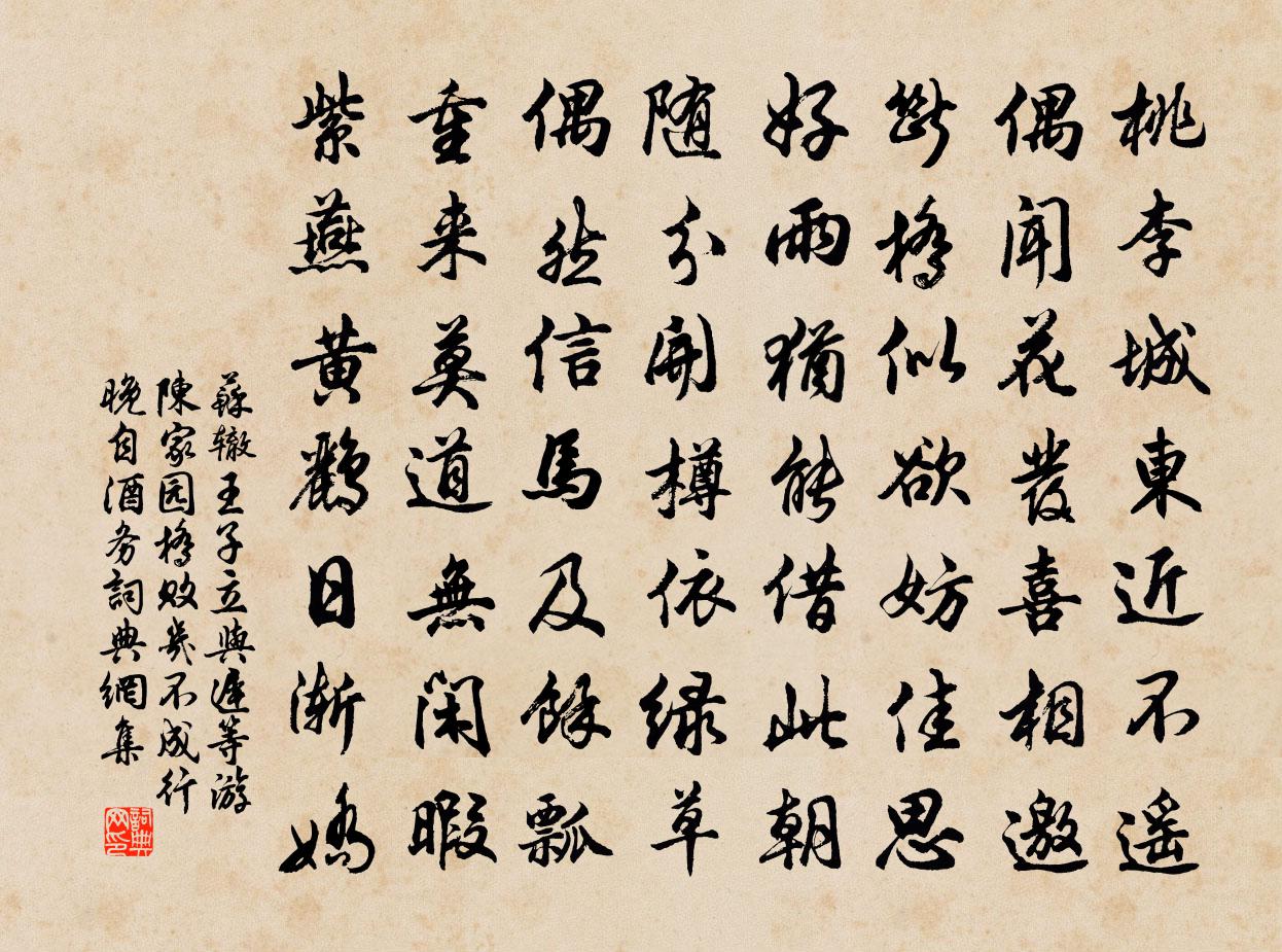 苏辙王子立与迟等游陈家园桥败几不成行晚自酒务书法作品欣赏