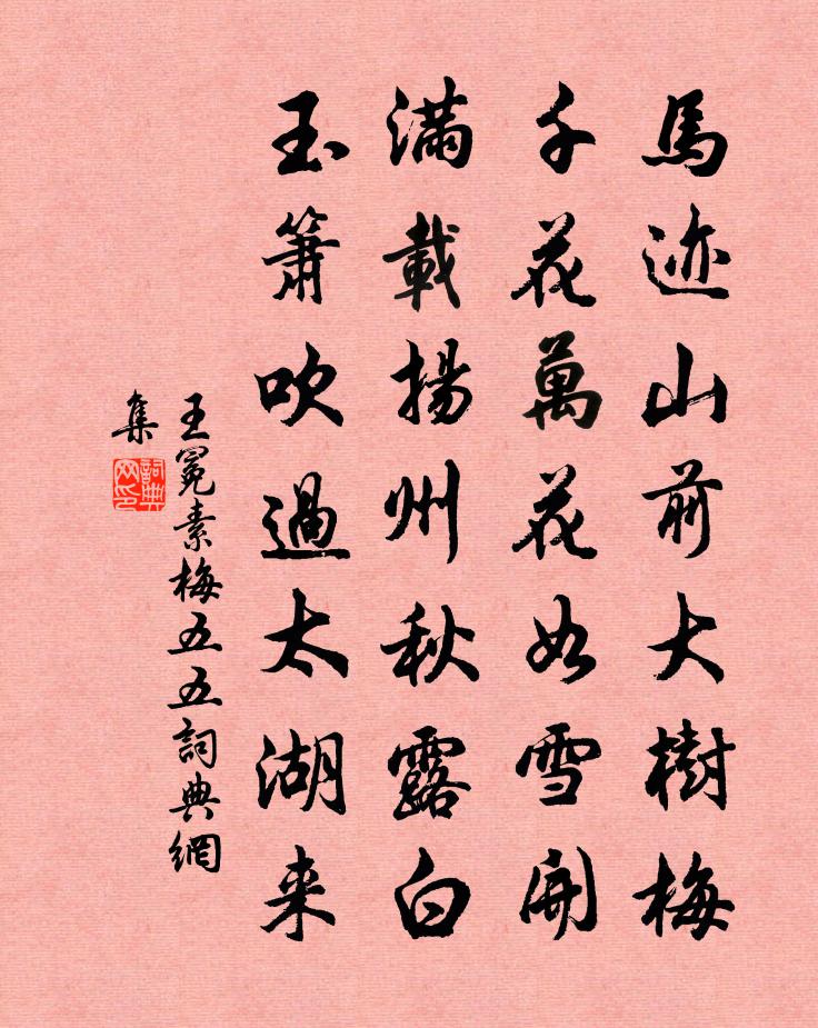 王冕素梅 五五书法作品欣赏