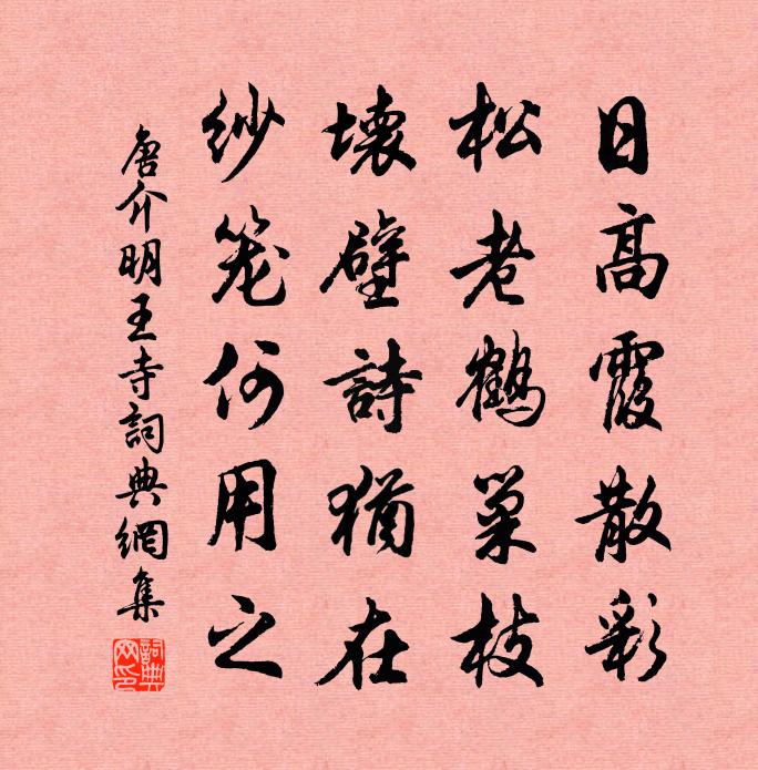 唐介明王寺书法作品欣赏