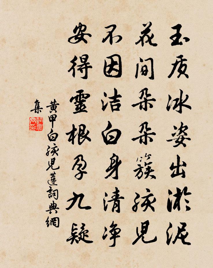 黄甲白孩儿莲书法作品欣赏