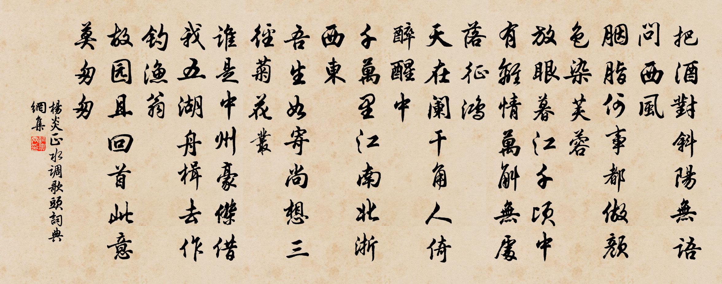 杨炎正水调歌头书法作品欣赏