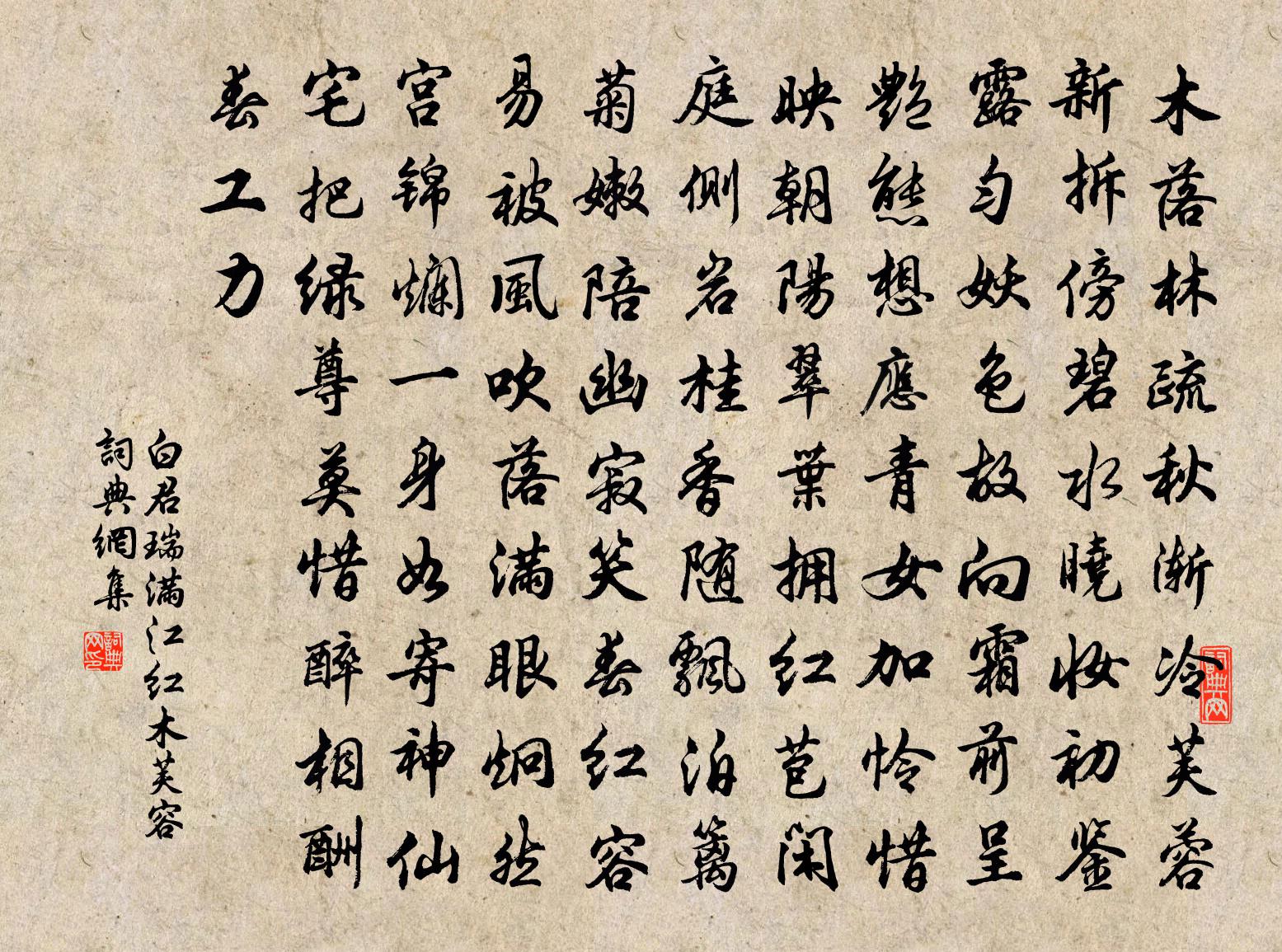 白君瑞满江红（木芙容）书法作品欣赏