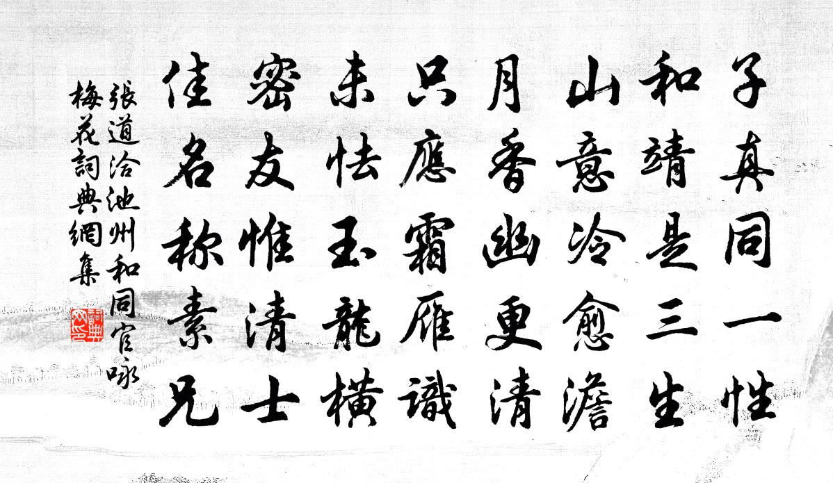 张道洽池州和同官咏梅花书法作品欣赏