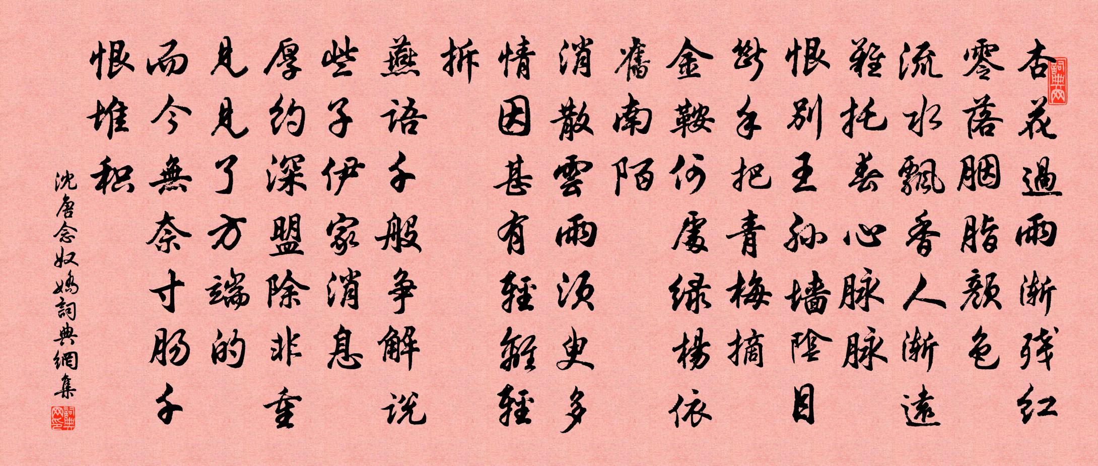 沈唐念奴娇书法作品欣赏
