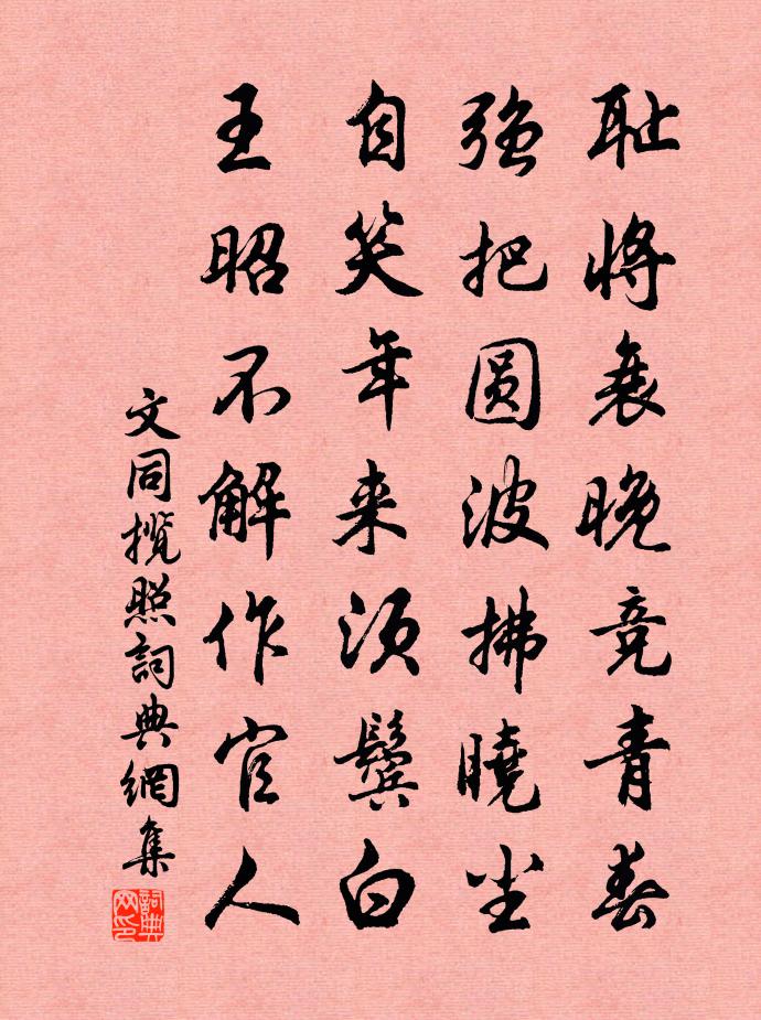 文同揽照书法作品欣赏