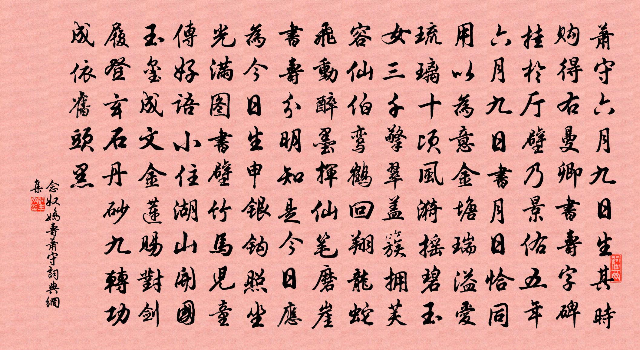 佚名念奴娇（寿萧守）书法作品欣赏