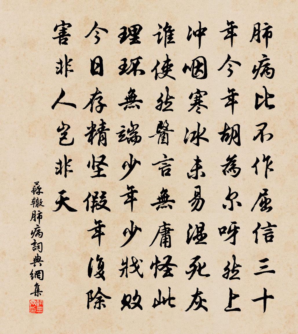 苏辙肺病书法作品欣赏