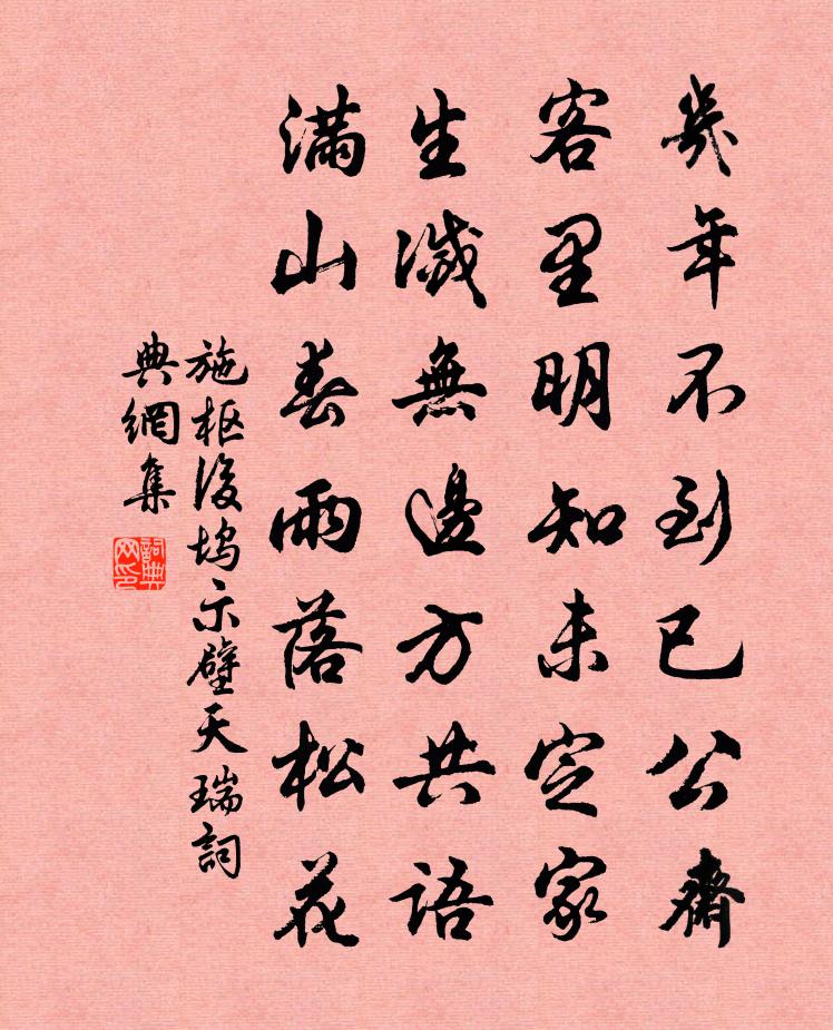 施枢后坞示壁天瑞书法作品欣赏