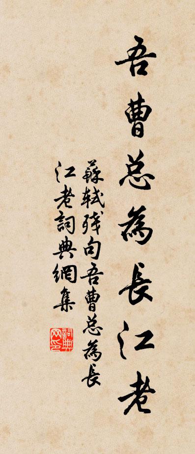 苏轼残句吾曹总为长江老书法作品欣赏
