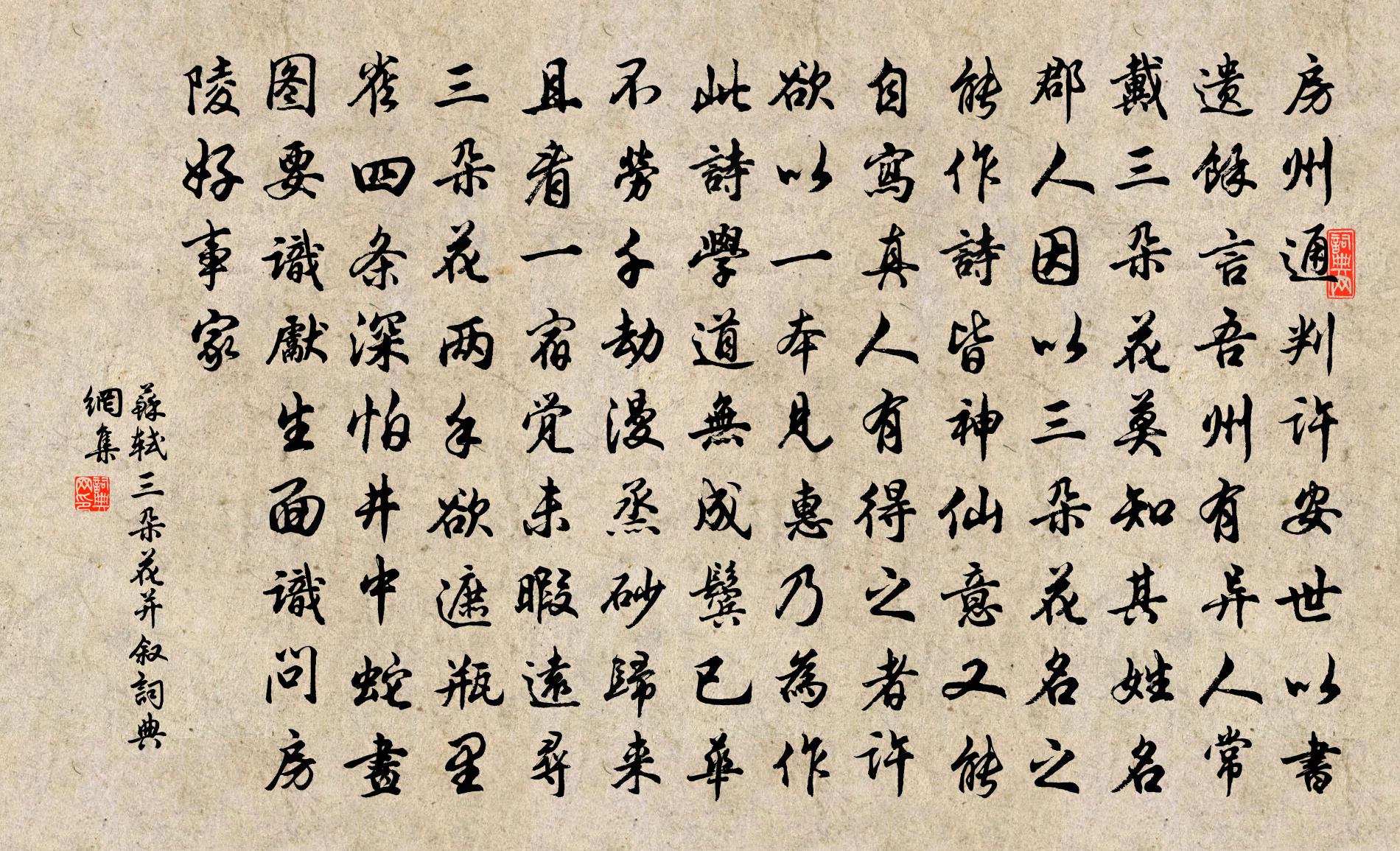 苏轼三朵花（并叙）书法作品欣赏