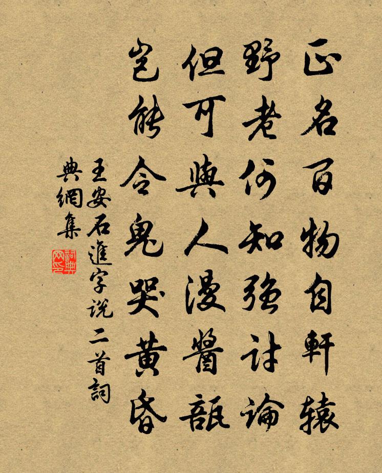 王安石进字说二首书法作品欣赏