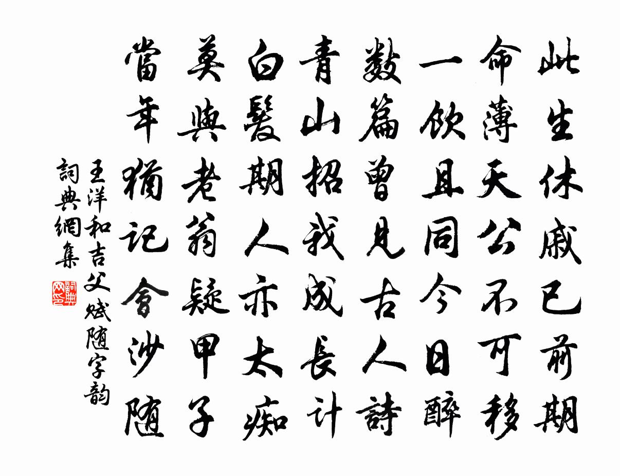 王洋和吉父赋随字韵书法作品欣赏