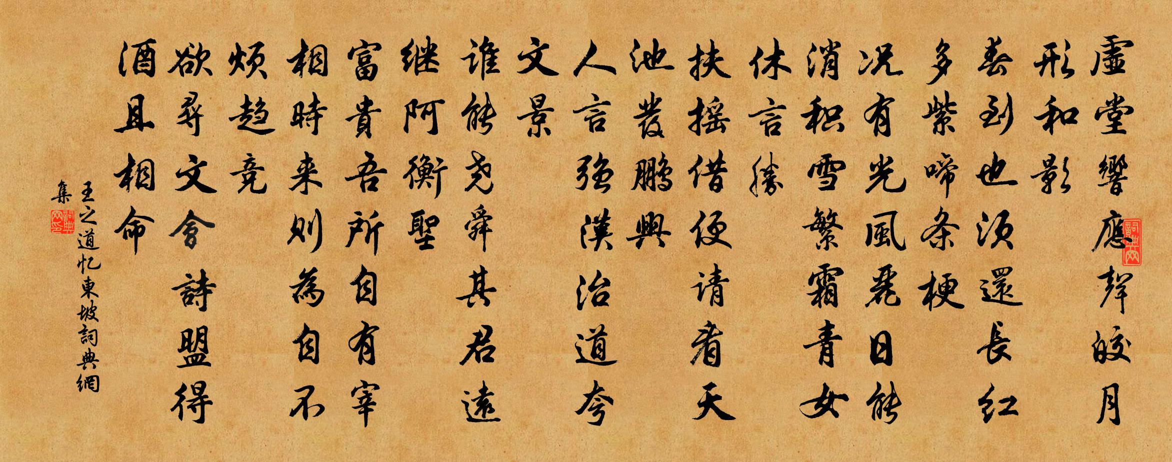 王之道忆东坡书法作品欣赏