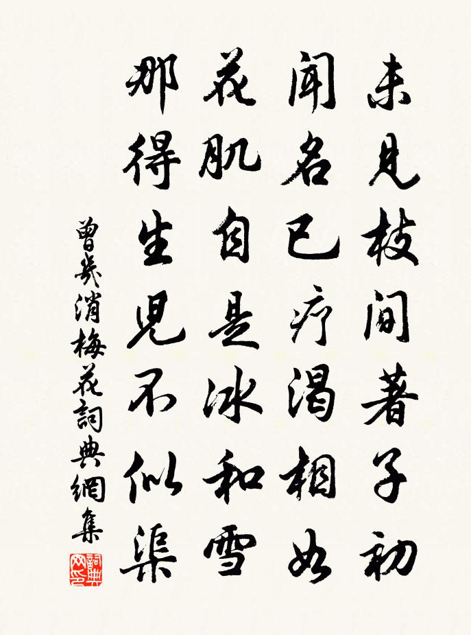 曾几消梅花书法作品欣赏