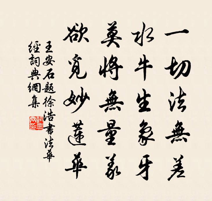 王安石题徐浩书法华经书法作品欣赏